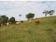 66 Humpty Back Road, Mcleans Ridges NSW 2480