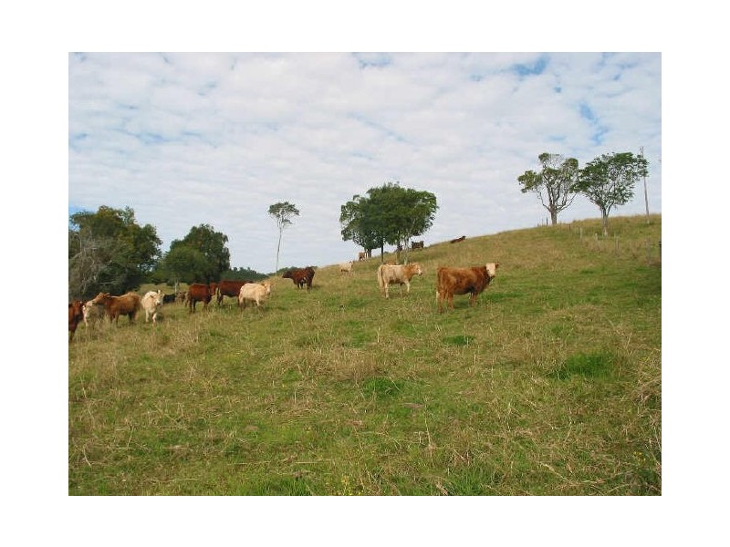 66 Humpty Back Road, Mcleans Ridges NSW 2480