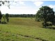 66 Humpty Back Road, Mcleans Ridges NSW 2480