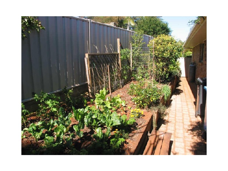 1/37 Adele Street, Alstonville NSW 2477