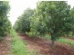 Lot 622./ Bruxner Highway, Wollongbar NSW 2477