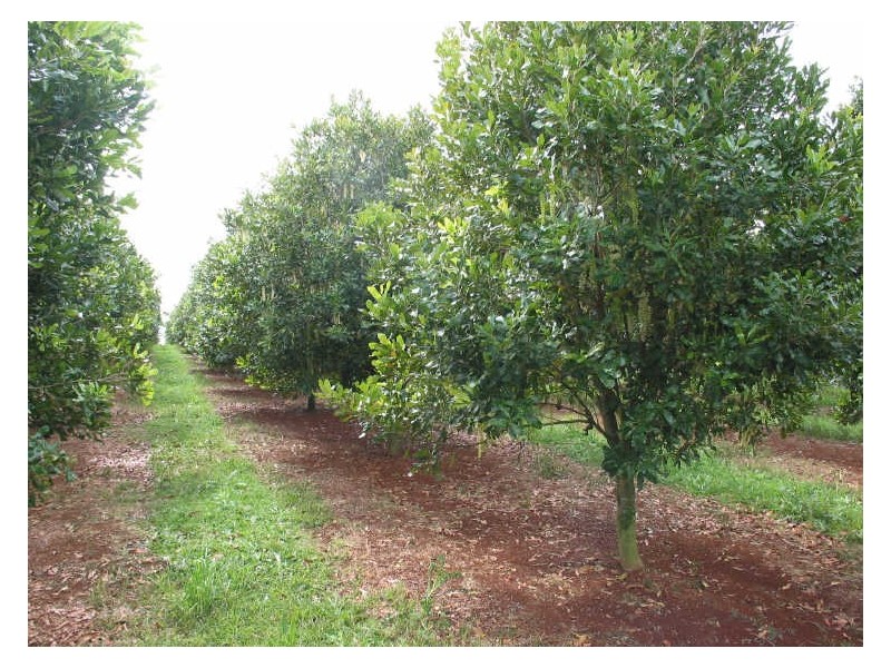 Lot 622./ Bruxner Highway, Wollongbar NSW 2477