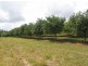 Lot 622./ Bruxner Highway, Wollongbar NSW 2477