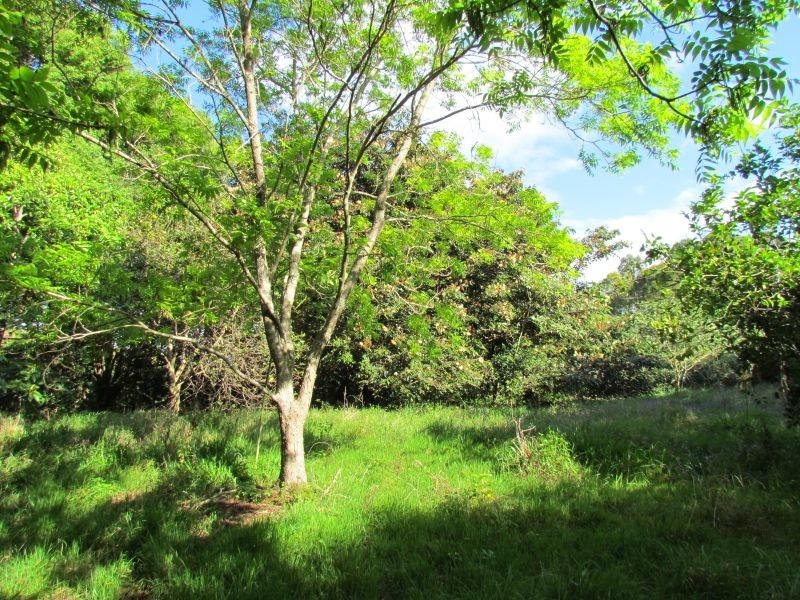 Lot 5/275 Cameron Road, Mcleans Ridges NSW 2480