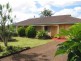 14 Shoalhaven Street, Alstonville NSW 2477