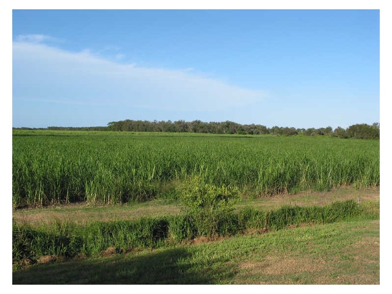 167 Patchs Beach Road, Ballina NSW 2478