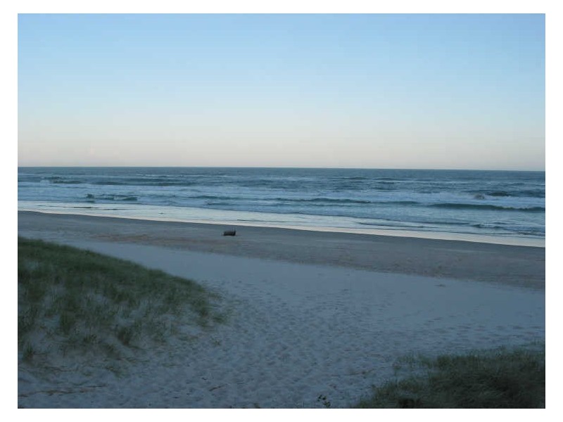 167 Patchs Beach Road, Ballina NSW 2478