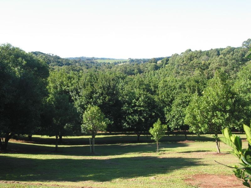 123 Alstonvale Road, Alstonville NSW 2477