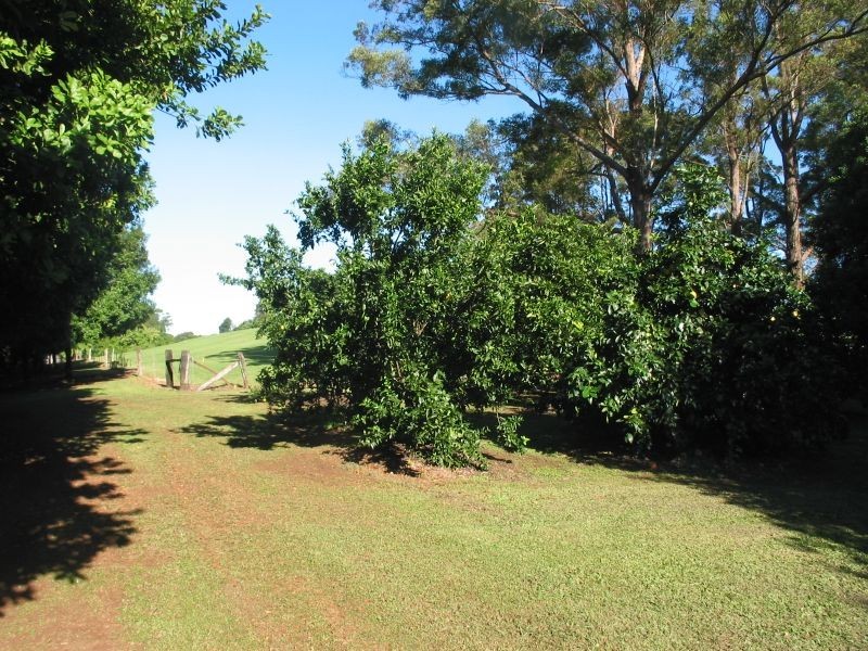 123 Alstonvale Road, Alstonville NSW 2477