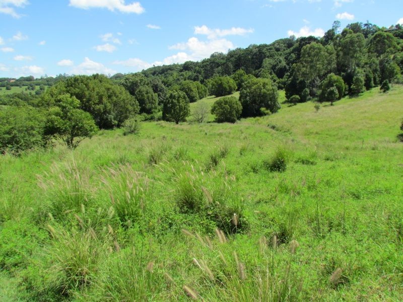 5 Roy Place, Richmond Hill NSW 2480