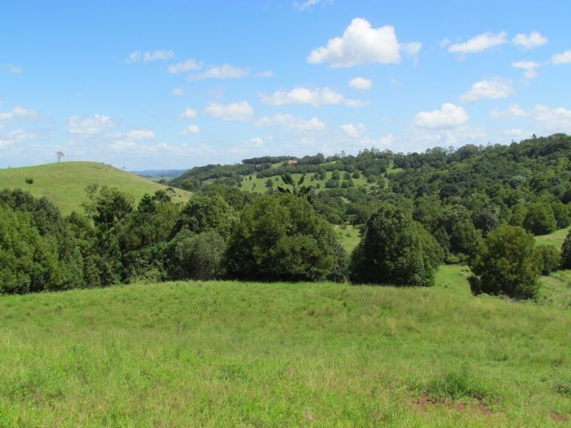 5 Roy Place, Richmond Hill NSW 2480