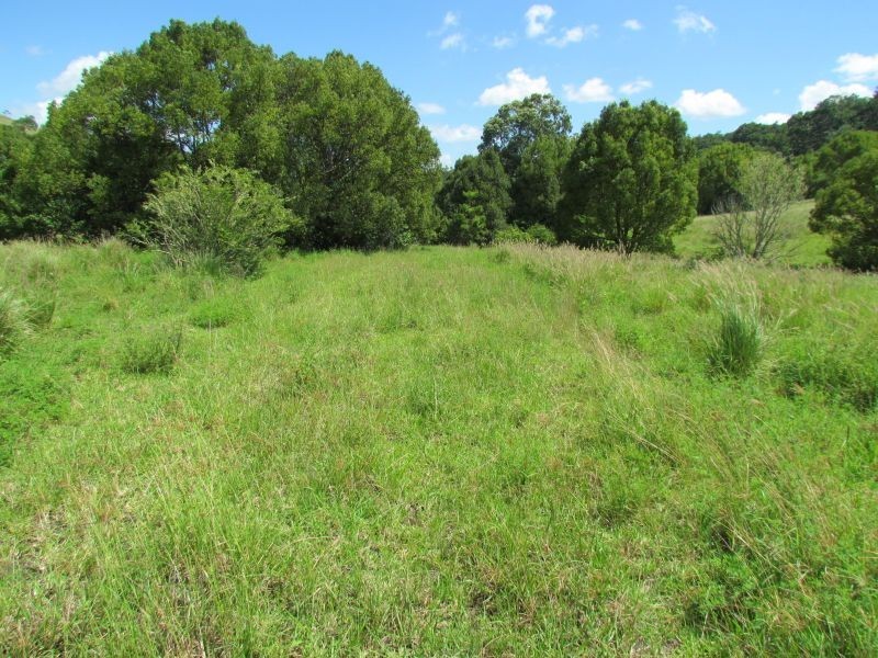 5 Roy Place, Richmond Hill NSW 2480