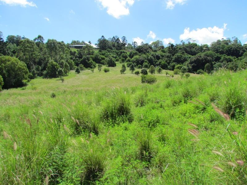 5 Roy Place, Richmond Hill NSW 2480