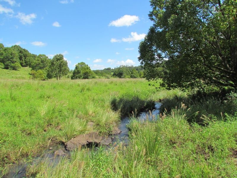 5 Roy Place, Richmond Hill NSW 2480