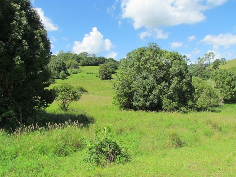 5 Roy Place, Richmond Hill NSW 2480