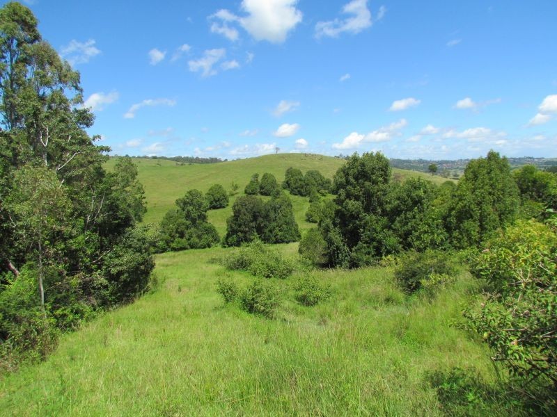 5 Roy Place, Richmond Hill NSW 2480