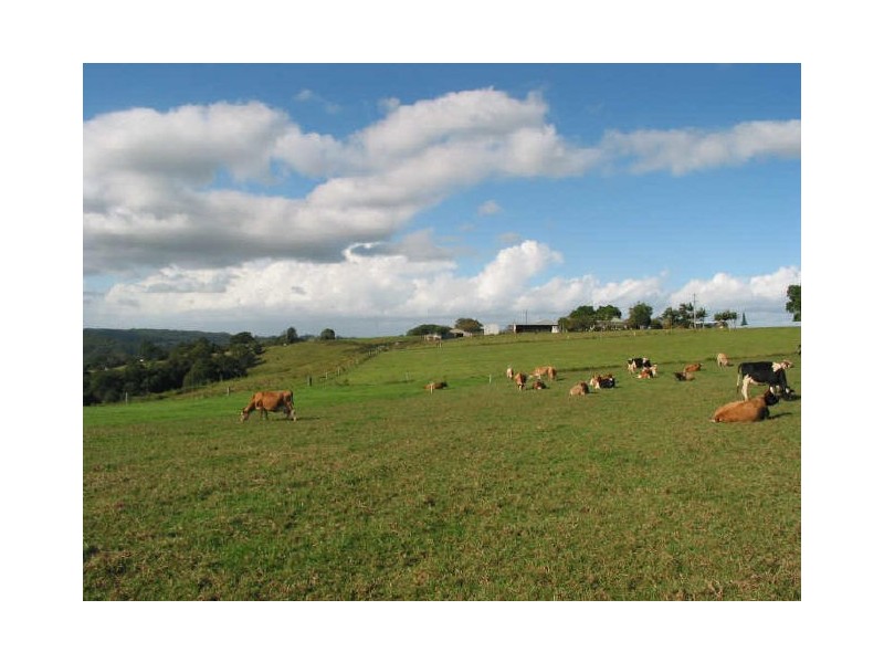 140. Buckombil Lane, Meerschaum Vale NSW 2477