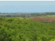 177 Tintenbar Road, Tintenbar NSW 2478