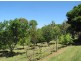 177 Tintenbar Road, Tintenbar NSW 2478