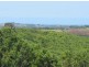 177 Tintenbar Road, Tintenbar NSW 2478