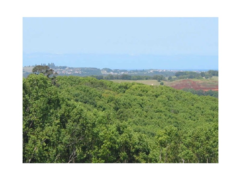 177 Tintenbar Road, Tintenbar NSW 2478