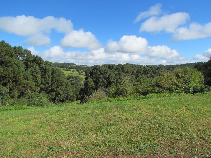 610 Houghlahans Creek Road, Pearces Creek NSW 2477