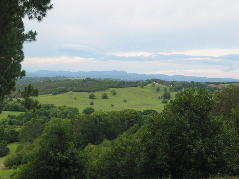 610. Houghlahans Creek Road, Pearces Creek NSW 2477