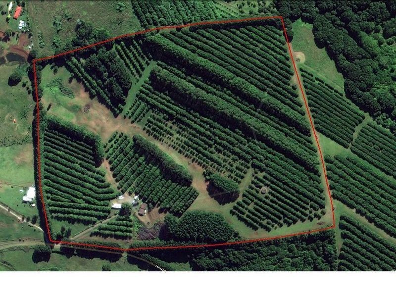 610. Houghlahans Creek Road, Pearces Creek NSW 2477