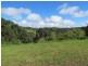 610. Houghlahans Creek Road, Pearces Creek NSW 2477