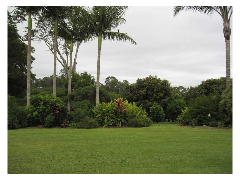 498 Cowlong Road, Mcleans Ridges NSW 2480