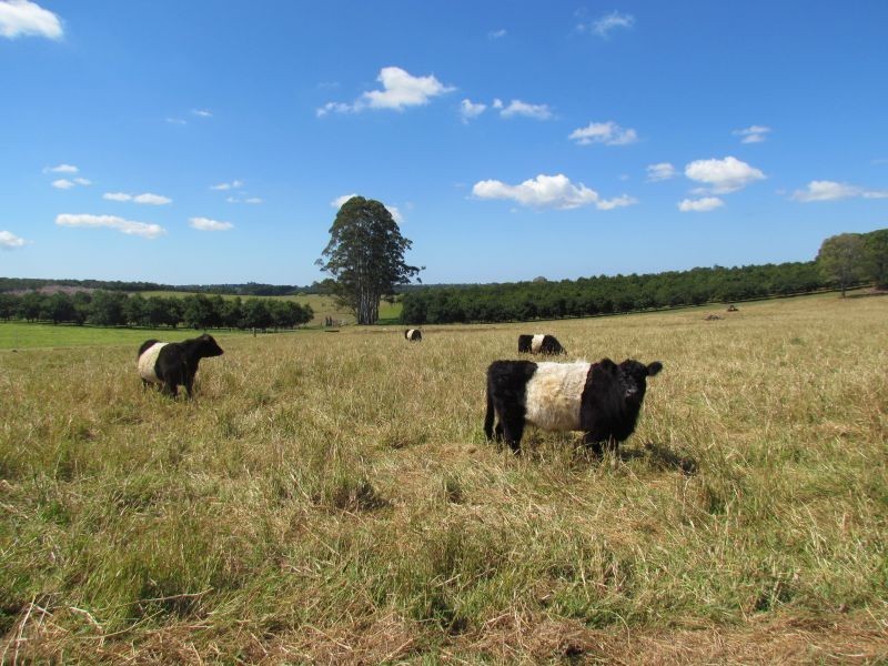 Alstonville NSW 2477