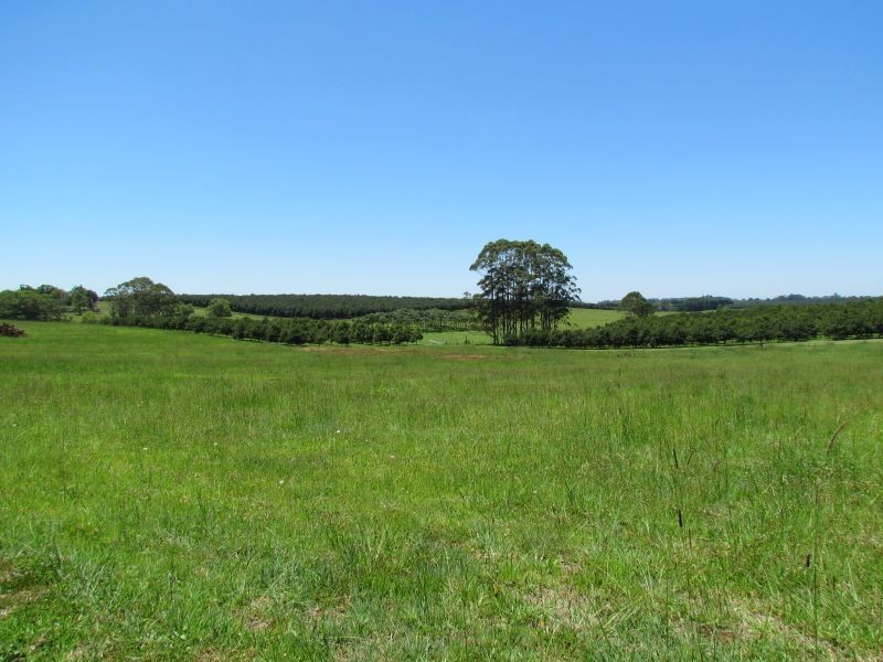 Alstonville NSW 2477