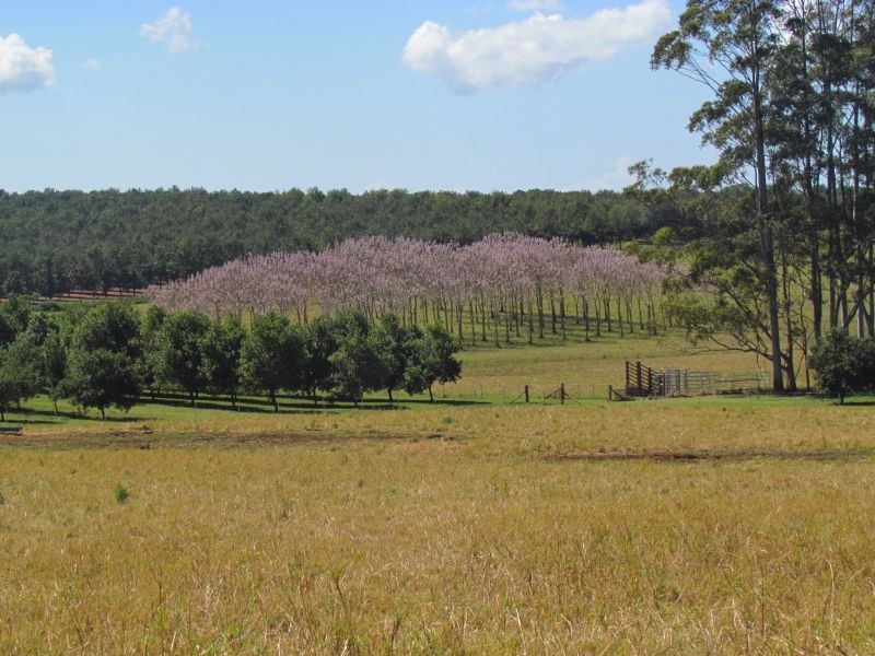 Alstonville NSW 2477