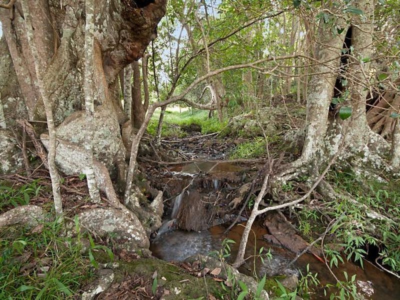 7/78 Teakwood Drive, Alstonville NSW 2477