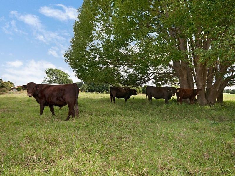 7/78 Teakwood Drive, Alstonville NSW 2477