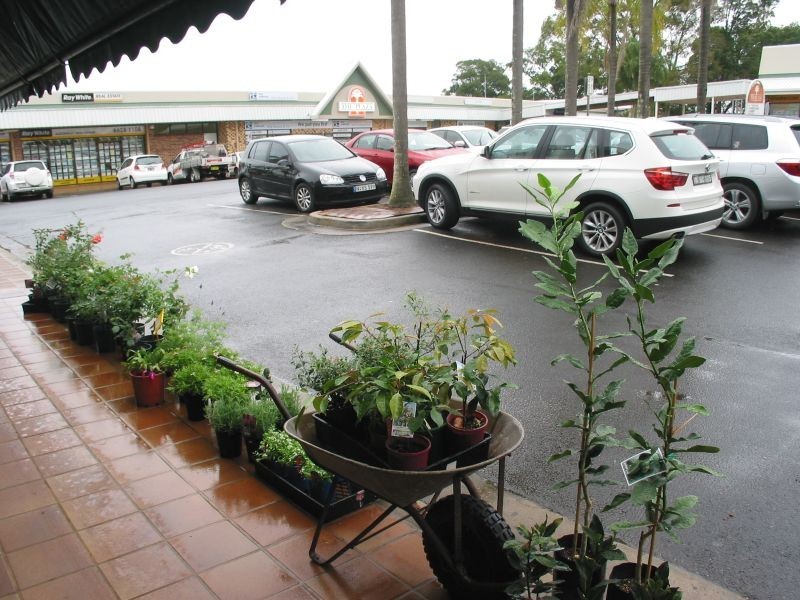 29/ The Plaza, Alstonville NSW 2477