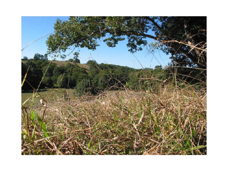 Lot 19/ Dillons Lane, Alstonville NSW 2477