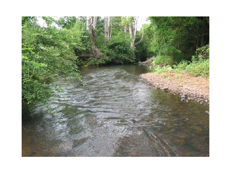 215 Tooheys Mill Road, Fernleigh NSW 2479