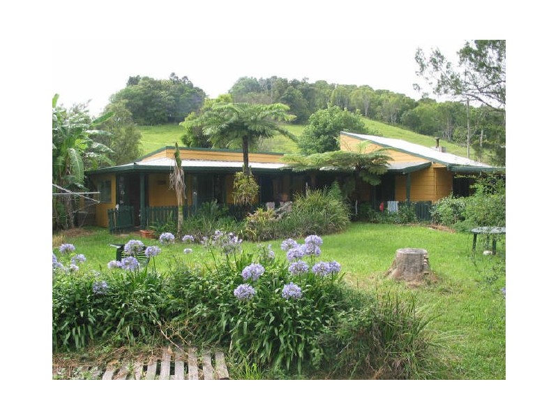 215 Tooheys Mill Road, Fernleigh NSW 2479