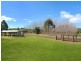 302 Lindendale Road, Lindendale NSW 2480