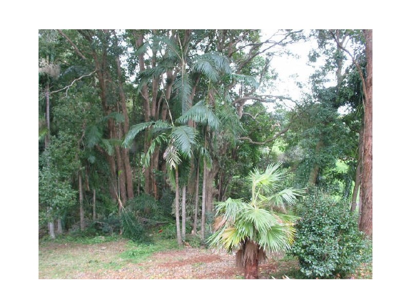 2 Cedar Court, Alstonville NSW 2477