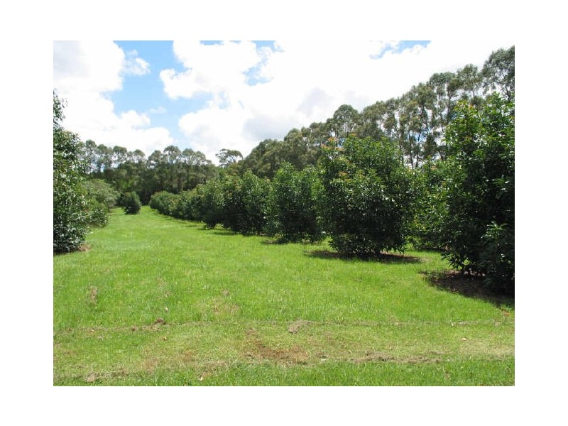 19. Hewetson Lane, Rous Mill NSW 2477