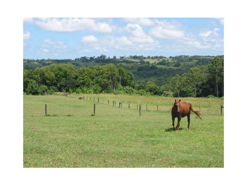 19. Hewetson Lane, Rous Mill NSW 2477