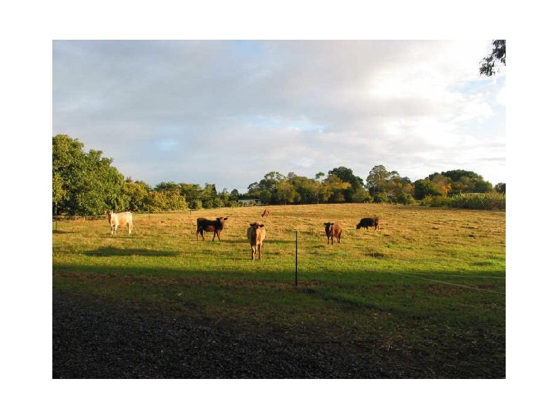 19. Hewetson Lane, Rous Mill NSW 2477