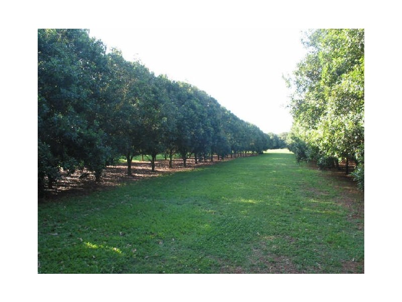 333. Dalwood Road, Dalwood NSW 2477