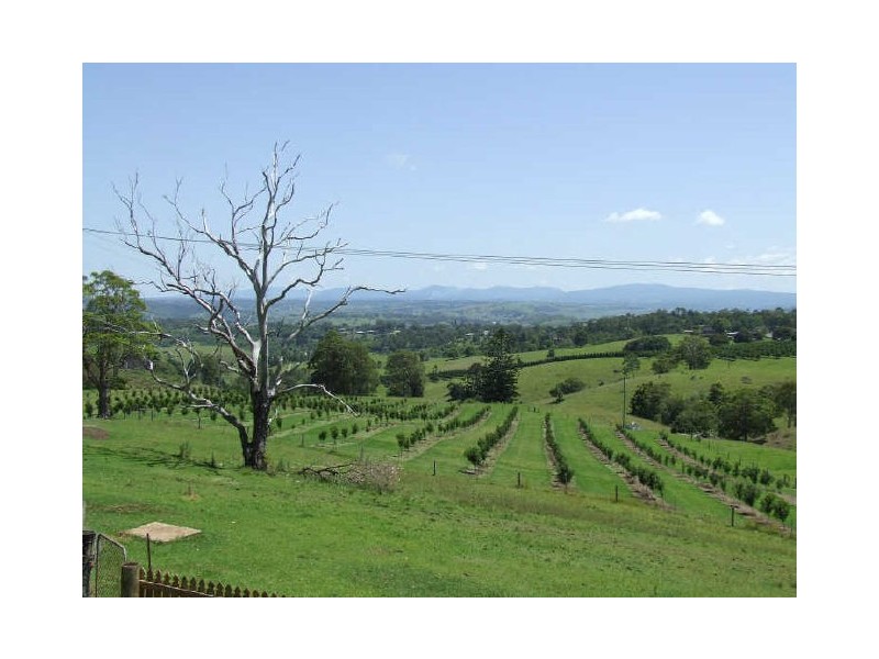 1118 Bruxner Highway, Richmond Hill NSW 2480