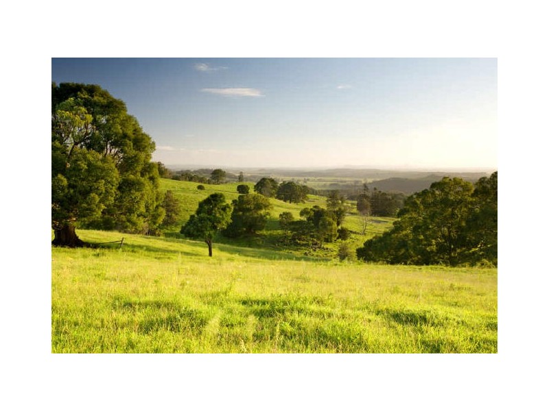 550 Tregeagle Road, Tregeagle NSW 2480