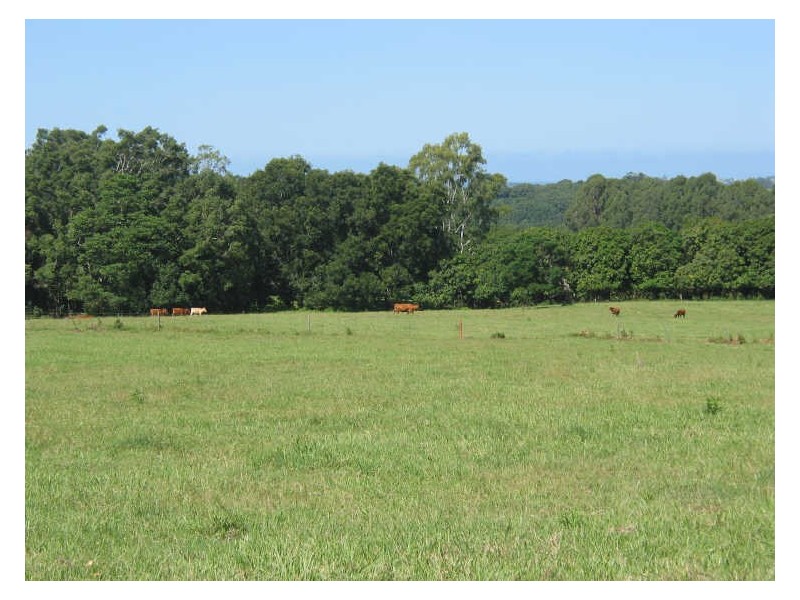 231. Fernleigh Road, Fernleigh NSW 2479