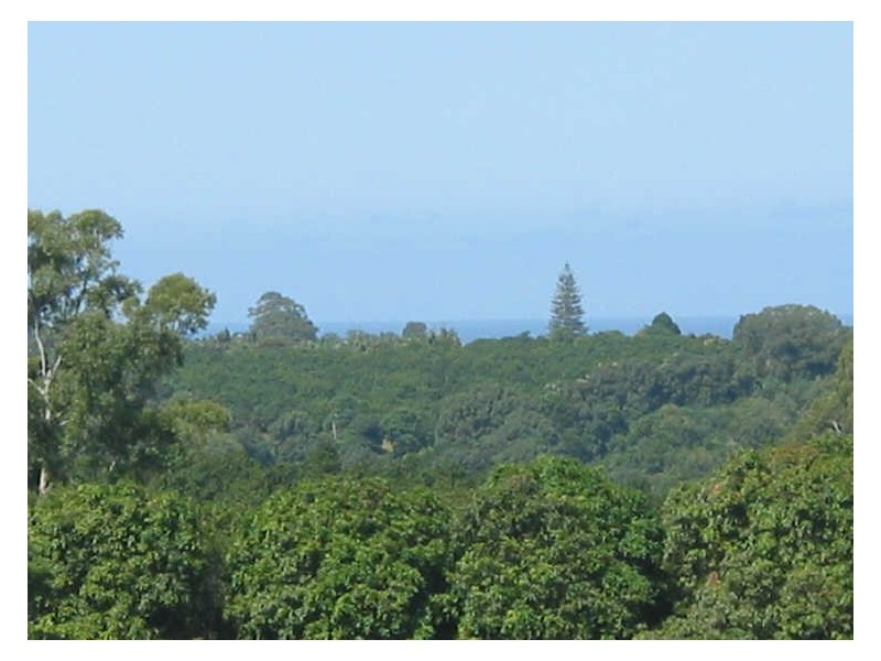 231. Fernleigh Road, Fernleigh NSW 2479