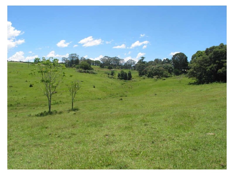 231. Fernleigh Road, Fernleigh NSW 2479